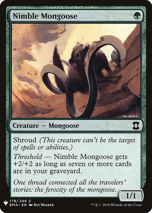 (MB1-CG)Nimble Mongoose/敏捷なマングース