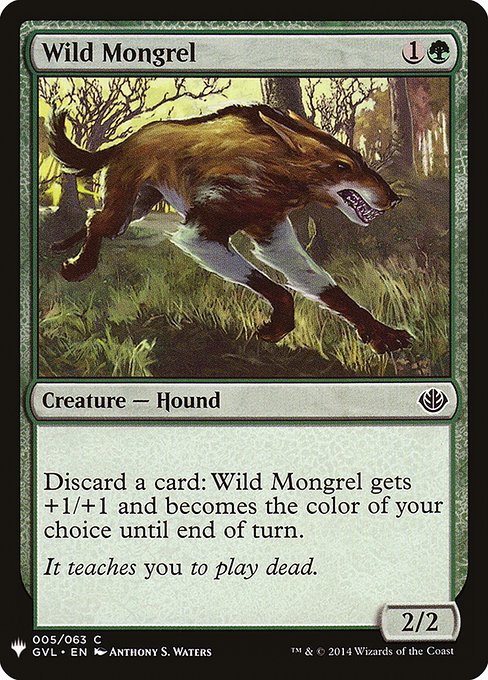 (MB1-CG)Wild Mongrel/野生の雑種犬