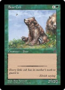 (PO2-CG)Bear Cub/仔熊