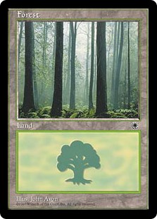 (POR-CL)Forest/森 (D)