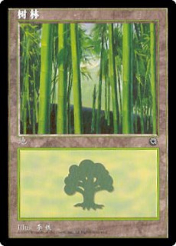 【中国語簡体字】(POR-CL)Forest/森【No.213】