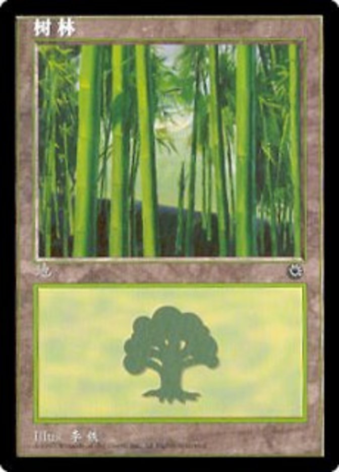 【中国語簡体字】(POR-CL)Forest/森【No.213】