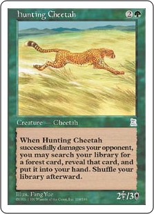 (PTK-UG)Hunting Cheetah/狩りをする豹