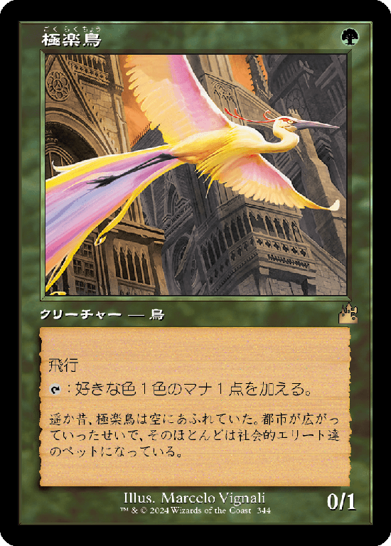 【旧枠】(RVR-RG)Birds of Paradise/極楽鳥【No.0344】