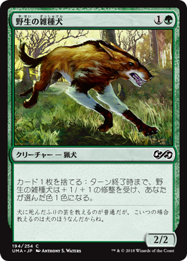 【Foil】(UMA-CG)Wild Mongrel/野生の雑種犬