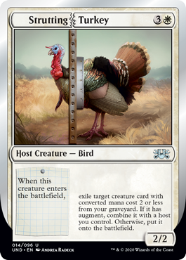 (UND-UW)Strutting Turkey