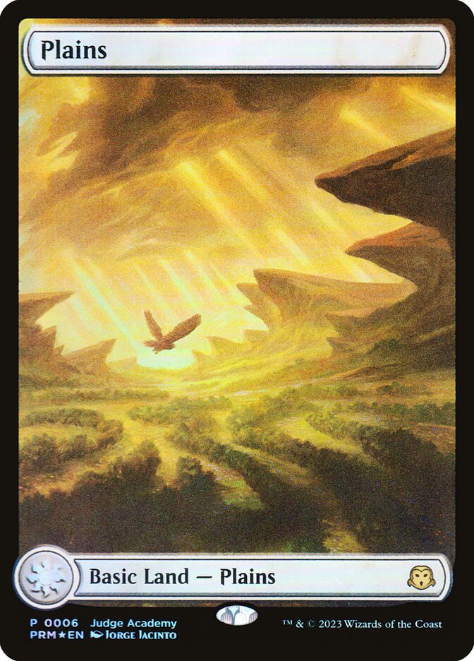 (Promo-Judge)Plains/平地 (Illus. Jorge Jacinto)