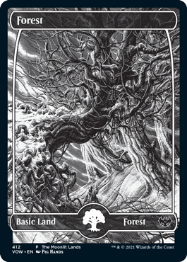 【Foil】(Promo-The moonlit Lands)Forest/森