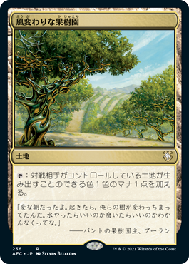 (AFC-RL)Exotic Orchard/風変わりな果樹園