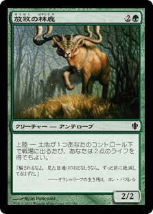 (C13-CG)Grazing Gladehart/放牧の林鹿