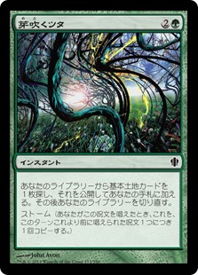 (C13-CG)Sprouting Vines/芽吹くツタ