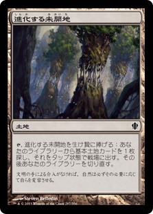 (C13-CL)Evolving Wilds/進化する未開地