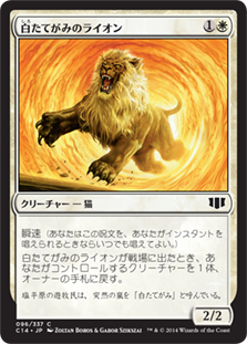 (C14-CW)Whitemane Lion/白たてがみのライオン