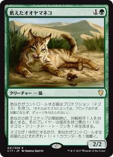 (C17-RG)Hungry Lynx/飢えたオオヤマネコ