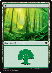 (C17-CL)Forest/森【No.309】