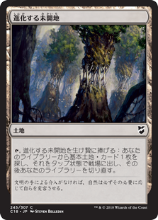 (C18-CL)Evolving Wilds/進化する未開地