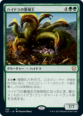 (C21-RG)Hydra Broodmaster/ハイドラの繁殖主