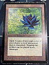 (LEB-RA)Black Lotus【VG】