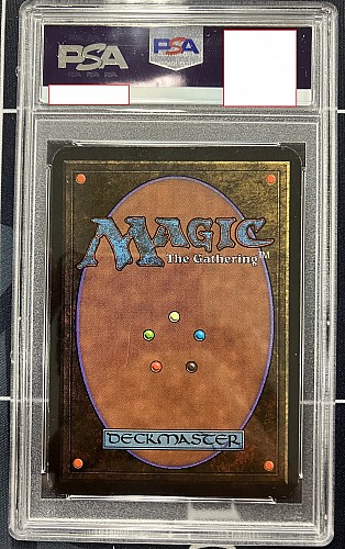 MTG, マジック:ザ・ギャザリング 通販 | ENNDAL GAMES / 【鑑定品