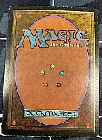 マジック：ザ・ギャザリング (3ED)Volcanic (EN) Volcanic Island - 30th Anniversary Edition - Magic: The Gathering