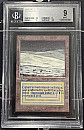 (LEB-RL)Tundra【NM, BGS9】