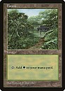 (Promo-APAC3)Forest/森 (Illus. Edward P.Beard Jr.)【森と小路と建物】