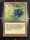 (LEB-RA)Black Lotus【VG】※専用