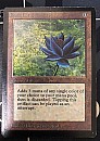 (Beta-R)Black Lotus(POOR,871)