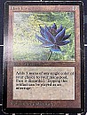 (LEB-RA)Black Lotus【Poor】