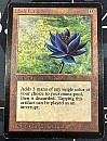 (LEB-RA)Black Lotus【VG】※専用