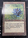 (LEB-RA)Black Lotus【Poor,Ink】