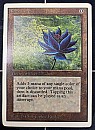 (2ED-RA)Black Lotus【VG】※専用