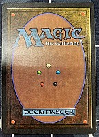(Summer_Magic-CB)Scathe Zombies/スケイズ・ゾンビ【NM,ポイント利用不可】