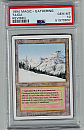 (RV-R)Taiga(MT PSA10)