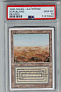 (RV-R)Scrubland(MT PSA10)