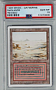 (RV-R)Badlands(MT PSA10)