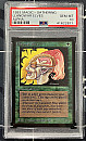 【鑑定品】  (LEA-CG)Llanowar Elves/ラノワールのエルフ【PSA10】