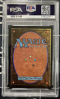 【鑑定品】  (LEA-CG)Llanowar Elves/ラノワールのエルフ【PSA10】