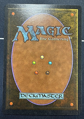 MTG, マジック:ザ・ギャザリング 通販 | ENNDAL GAMES / ☆エラー