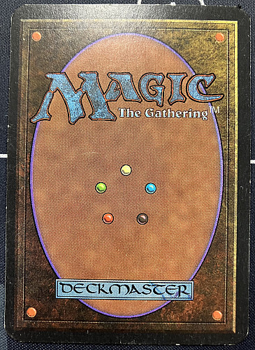 MTG, マジック:ザ・ギャザリング 通販 | ENNDAL GAMES / (LEA-RL)Taiga