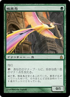 【Foil】(RAV-RG)Birds of Paradise/極楽鳥